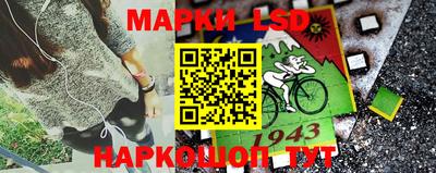 стафф Лесосибирск