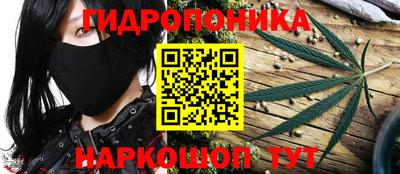 стафф Лесосибирск
