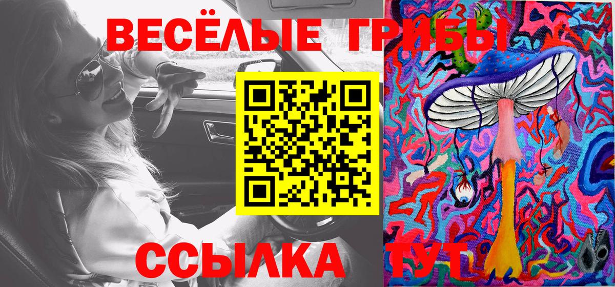 что такое   Галлюциногенные грибы Psilocybine cubensis  Гусиноозёрск  Вход с VPN  Галлюциногенные грибы Magic Shrooms 