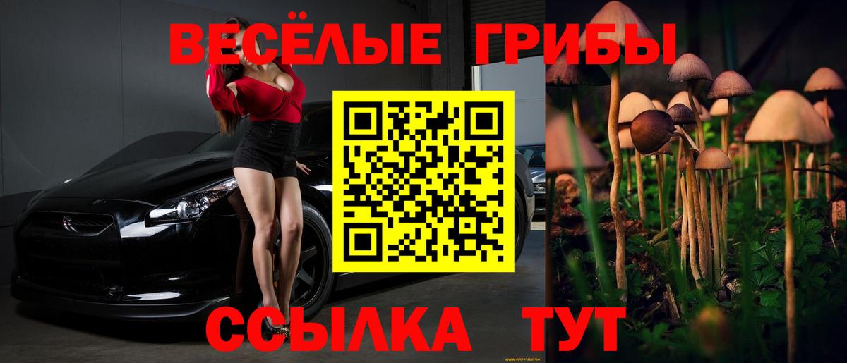 Галлюциногенные грибы Cubensis Гусиноозёрск