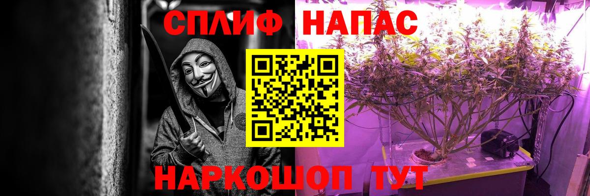 Конопля семена Гусиноозёрск
